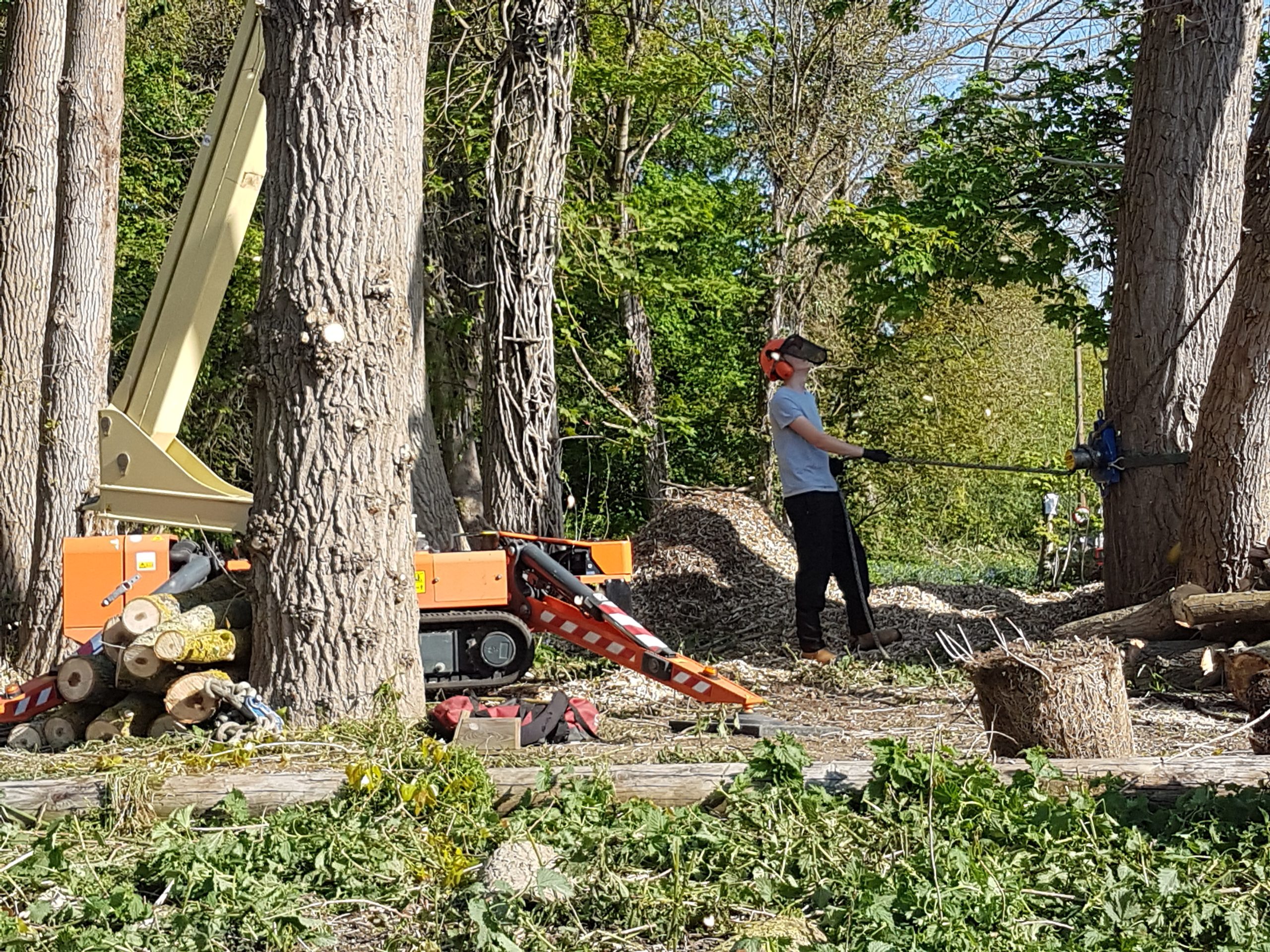 Development and Construction tree surgery services