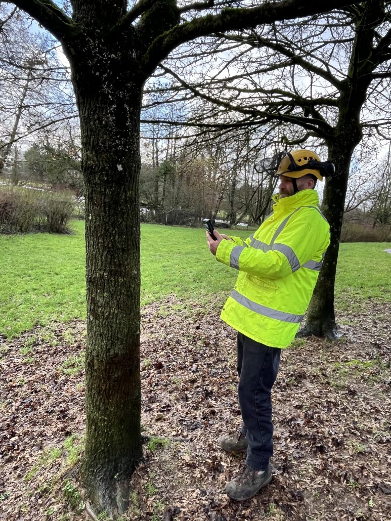 Tree Consultancy Services in the South East and South West of England